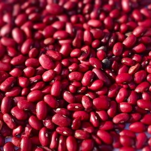 Red Rajma Beans